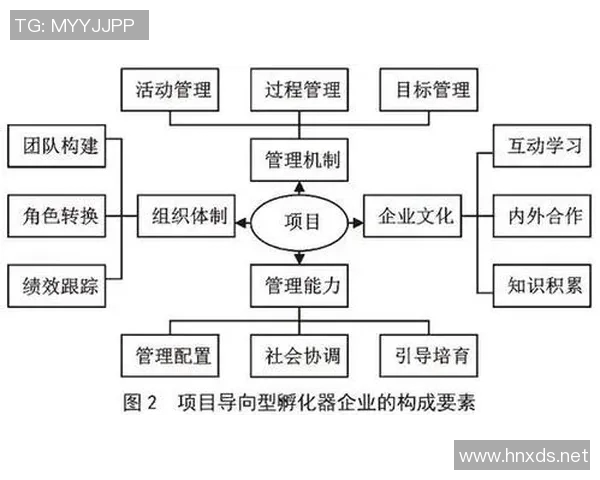 赛事组织与管理创新：提升赛事品质与观众体验的多元化路径探讨