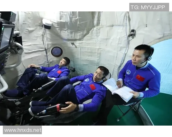 专访杨芳：探寻网球界的成功秘诀与背后故事